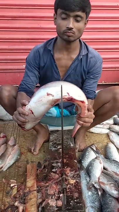 Amazing Pangash Fish Cutting Skill #shorts #ffbd #fish_cutting_bd