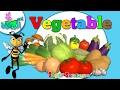 اناشيد الروضة - تعليم الاطفال - الخضار باللغة الإنجليزية  Vegetable  - بدون موسيقى - بدون ايقاع