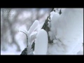「寒がり」 新田晃也 harukaraharu