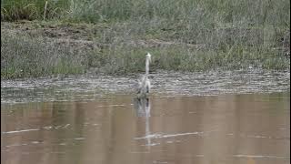 A orillas del Río Adaja