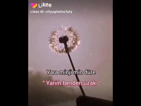 Birîna min kure💔😥