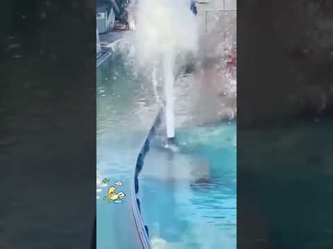 water cannon startles