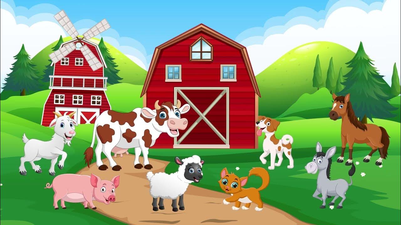 Invata Animalele Domestice in Engleza Pentru Copii Sa Invatam