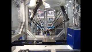 Robotunits Conveyor with ABB Robotics Flexpicker