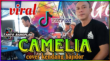 CAMELIA VIRAL TIKTOK KOPLO BAJIDOR RAMPAK @tantocimotbangplakofficial #fypシ #fyptiktok