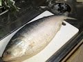 ইলিশ মাছ (How to cut Hilsha Fish)