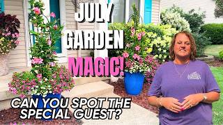 Heidi's Garden Update | July 2026