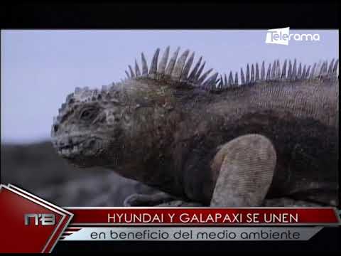 Hyundai y Galapaxi se unen en beneficio del medio ambiente