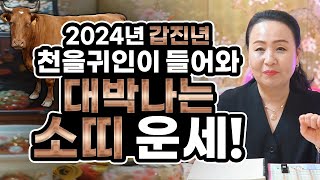 2024년 대박나는 소띠운세2024년에 천을귀인이 들어와 초대박!! 새해에 금전운 들어온다! /61년생 73…