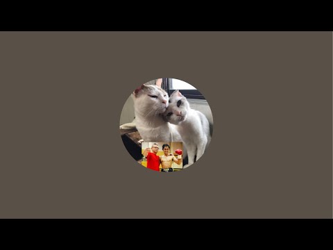 neko18taiki - YouTube