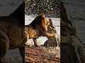 ⚠️ Watch till the end to see who wins! #animals #wildlife #nature
