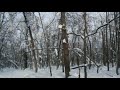 Саратов - Жемчужины, Кумысная поляна зимой. Эпизод 1
