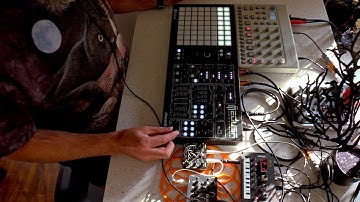 random noise 025 polyend medusa, model:cycles, bastl kastle v1.5, korg nts-1