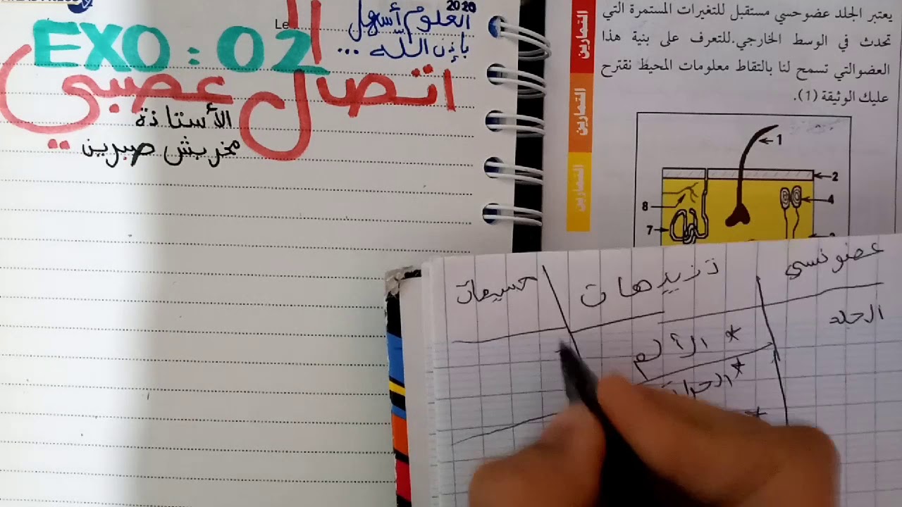 تمرين 2  اتصال عصبي : منهجية حل تمرين علوم بذكاء #الجزء الأول