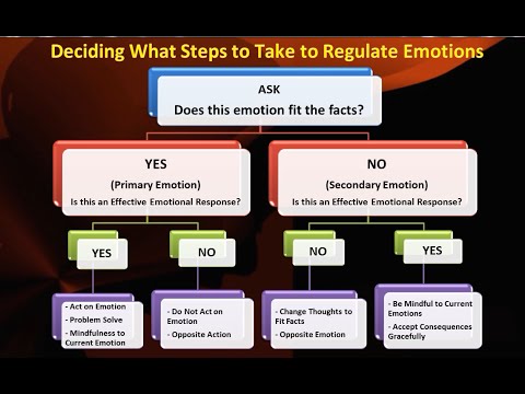 problem solving is what type of emotion regulation technique