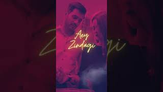 Aey Zindagi Remix Wahaj Ali x Minal Khan x Trajbo