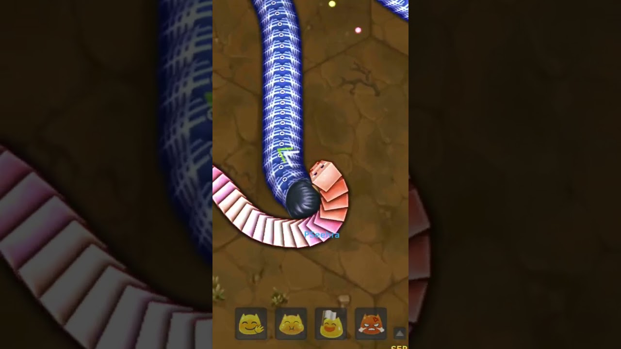 little big snake legendary clash epic battle You can't miss !