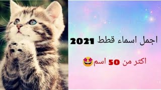 اجمل اسماء قطط*2021 ذكور وإناث