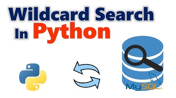 How to retrieve data from database using wildcard in Python