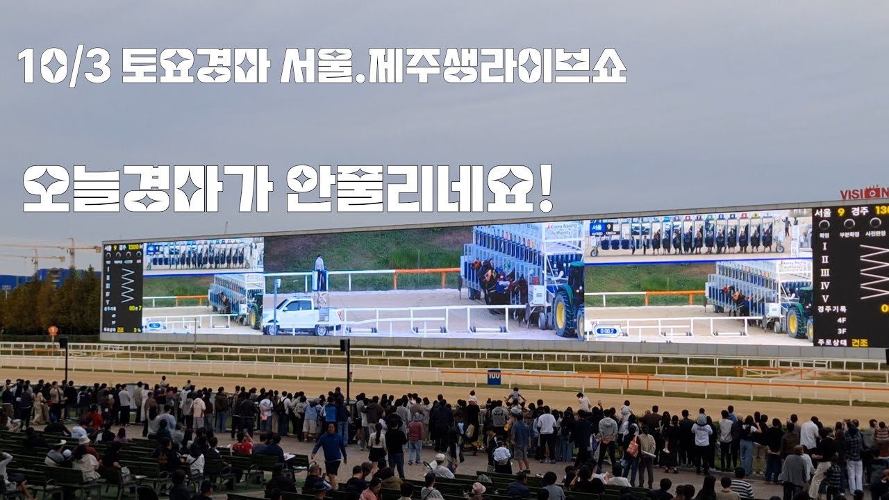 공휴일 연휴 토요경마 서울.제주생라이브쇼 