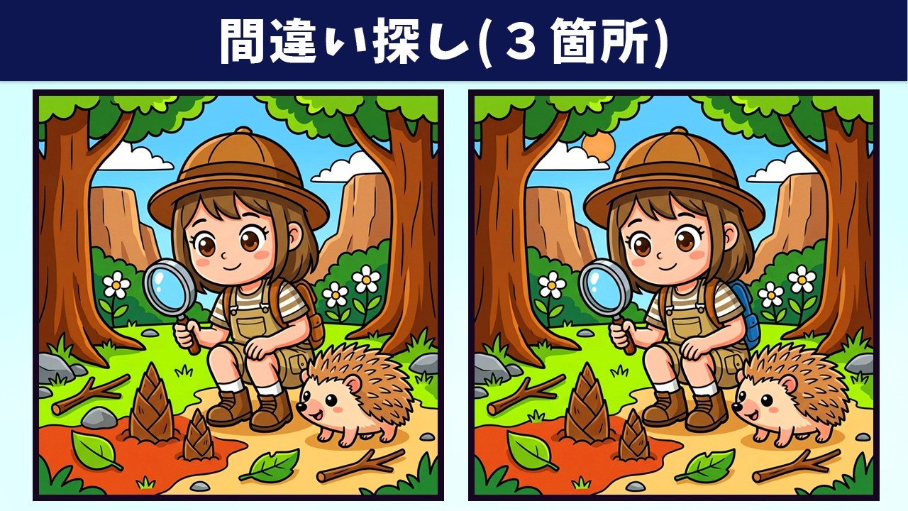 発送物が画像と違う AliExpress発送遅れ、3回の発送連絡と追跡番号発行 | まったりハマる