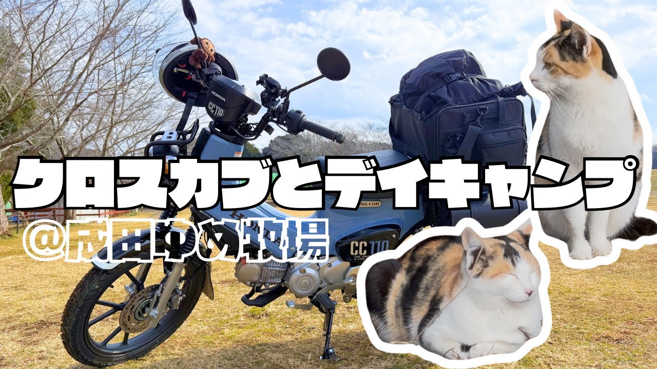 クロスカブと初めてのデイキャンプ☀️【成田ゆめ牧場】