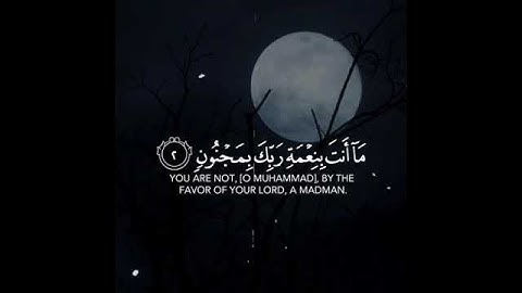 ماتيسر من سوره القلم🖤.