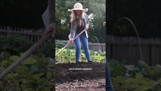 Unterschätzt die Schnecken nicht 🐌