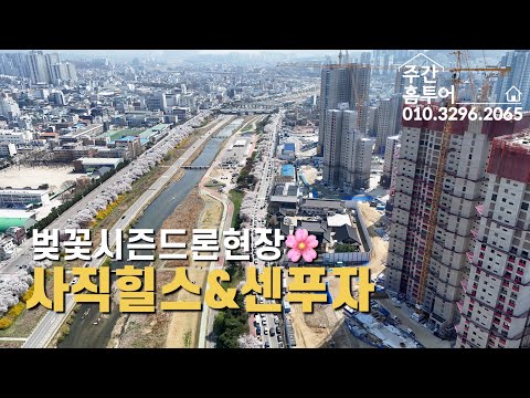 청주 무심천 벚꽃 시즌🌸 사직힐스·센텀푸르지오자이 드론현장 (2604)