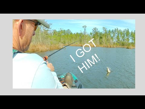 Bass Fishing Machine?  Learning to Fish Vol: 4
