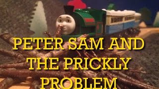 The Wooden Railway Series Peter Sam And The Prickly Problem
