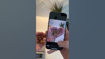 How to Track Calories with ChatGPT and Foodnoms Ask AI