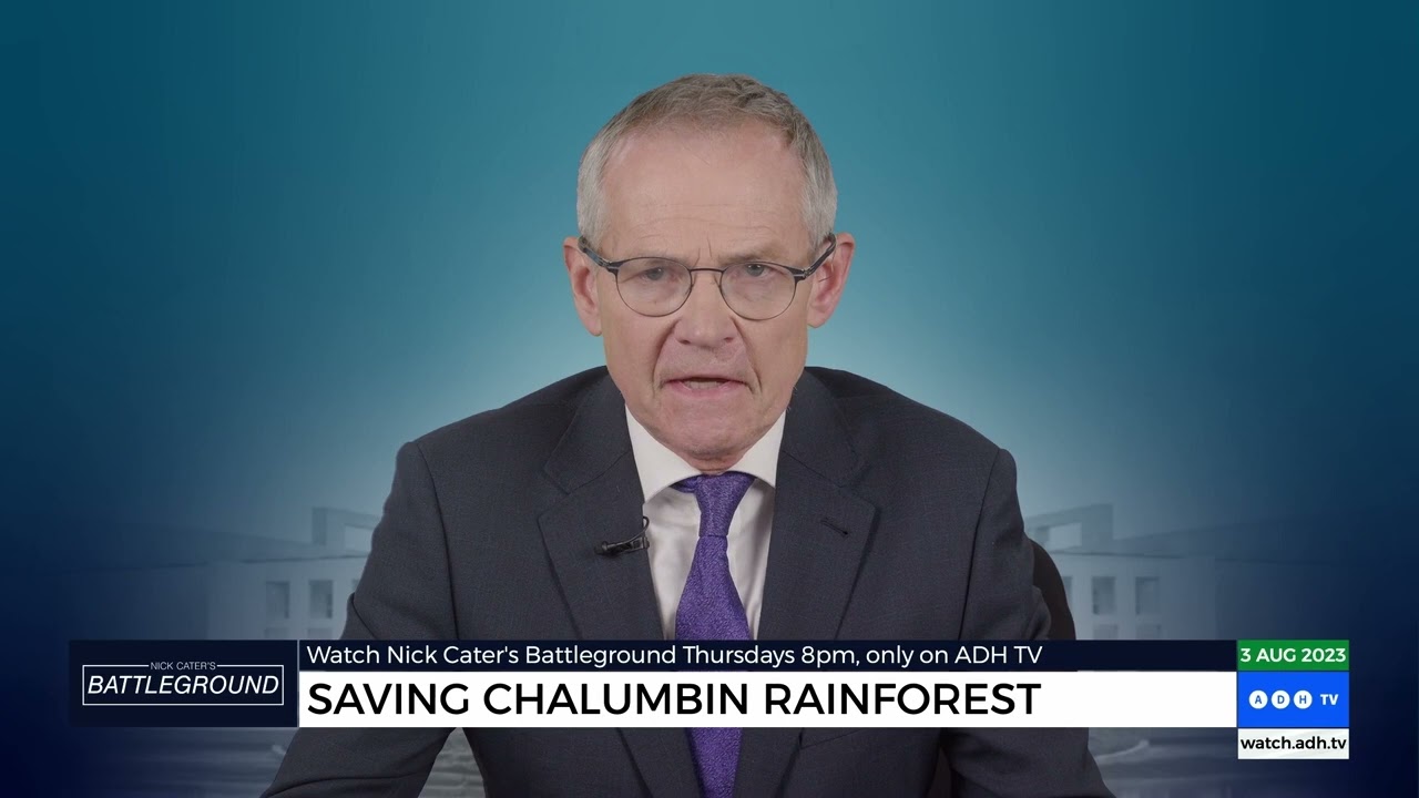 Hectares of pristine forest to be destroyed for green energy