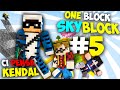 ONE BLOCK SKYBLOCK - SERVE L' AIUTO DI KENDAL !! #5