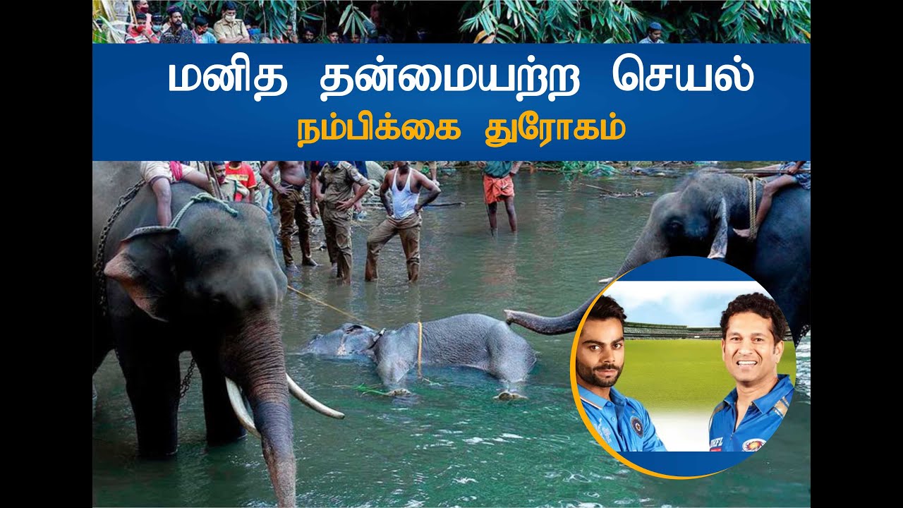 Kerala elephant death news Update Paul S Tamil YouTube