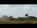 Magnificent bull elephant receives emergency treatment  sheldrick trust