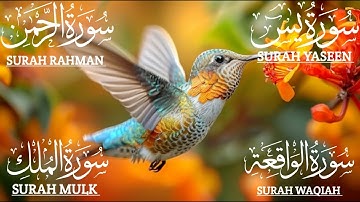تلاوة تريح القلب سورة يس❤️الواقعة❤️الرحمن❤️الملك❤️ لزيادة الرزق و البركة.Yaseen🔴Rahman🔴Mulk🔴Waqiah✅💯