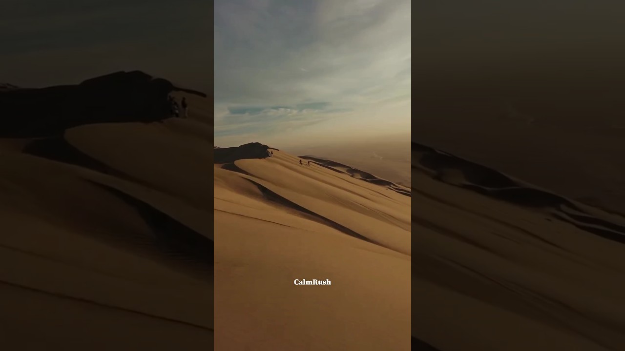 until you reach the desert 