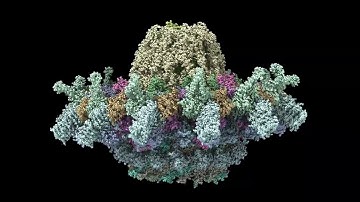 T4SS IcmX Plug Secretion 10 pm/ps Simulation Side View