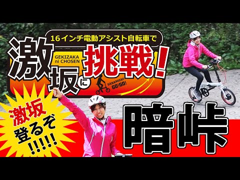 ※再出品※更に値下げしました※現地取引のみ※折りたたみ　電動自転車 新製品発売】16インチ折りたたみ電動アシスト自転車「PELTECH X MINI