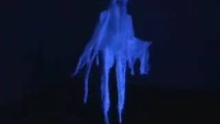 Flying Crank Ghost 2004