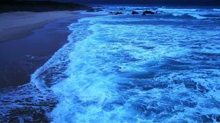 Clear your mind by listening to the waves on the beach 🌊 gentle sound of the ocean to help you sleep