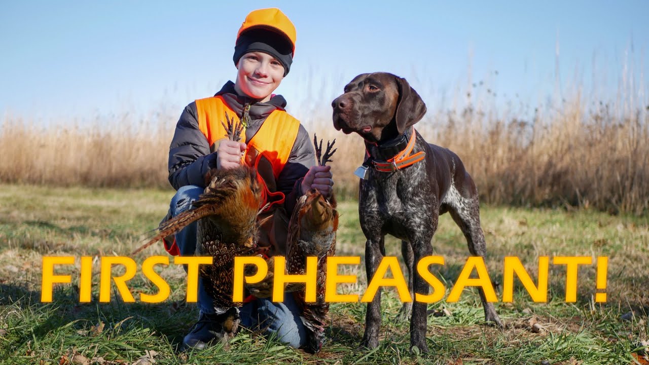 First Pheasant | Take A Kid Pheasant Hunting!