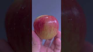 Como fazer uma SIDRA de maçã?