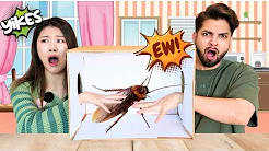 What's in the Box? *FUNNY*