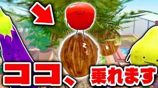 チート⁉『小さい畑』に居るココナッツを取る方法⁉『ひみつのおるすばん