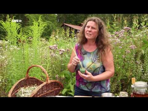 Video: Chaparral-Gartentipps – Erfahren Sie mehr über das Pflanzen in Chaparral-Klimazonen