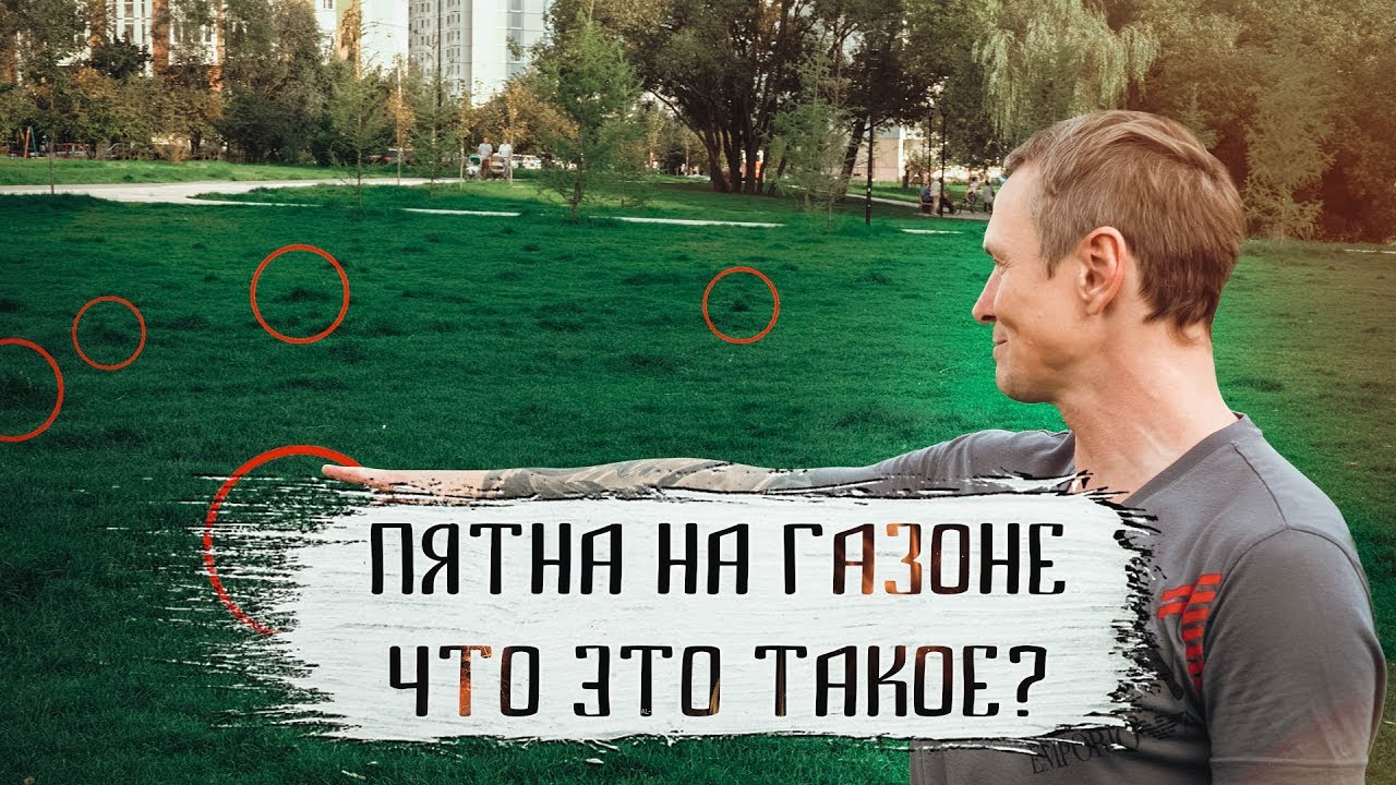 Тёмные пятна и проплешины на рулонном газоне, как их убрать? - YouTube