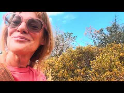 day two of new life devoted to art and nature! draw with me outside in sedona :)