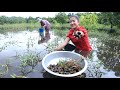 The raining day mother and me go to find snails for cooking  simple recipe in countryside